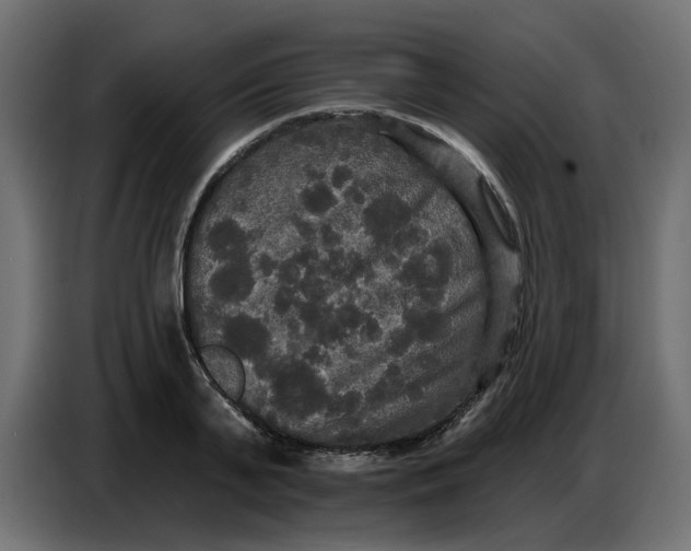 X0000086730791200705041346