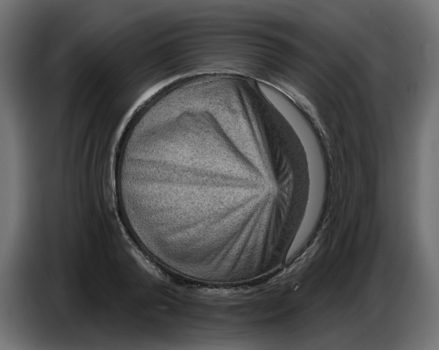 X0000086730792200705041346