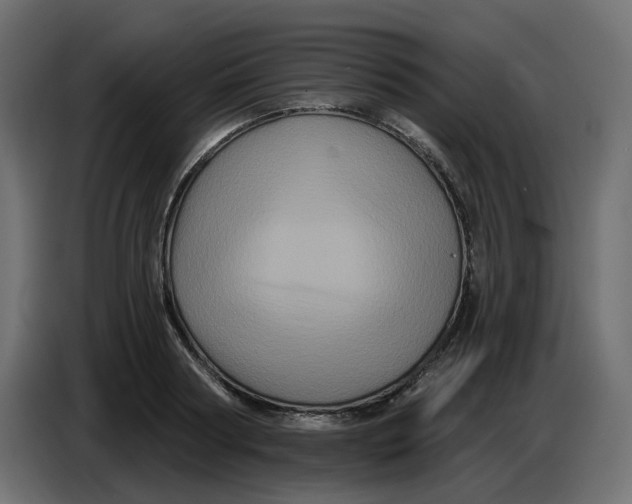 X0000086730794200705041346