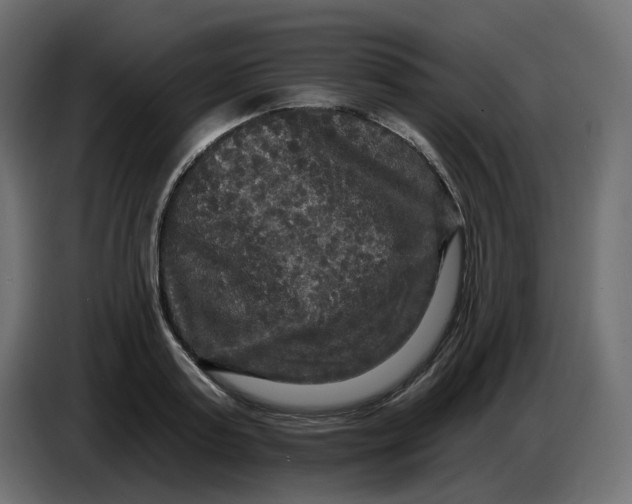 X0000086730795200705041346