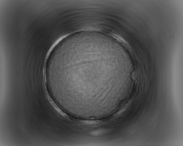 X0000086730796200705041346