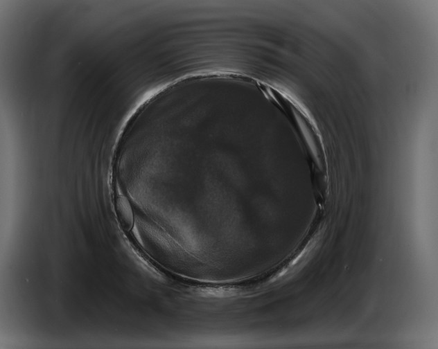 X0000086730797200705041346