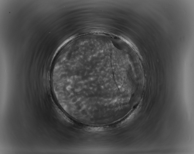 X0000086730798200705041346