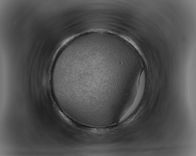 X0000086730799200705041346