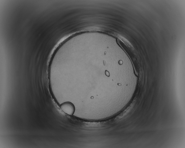 X0000086730800200705041346