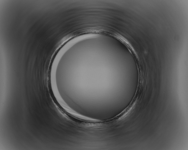 X0000086730802200705041346