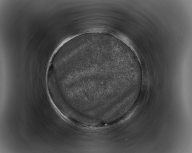 X0000086730803200705041346