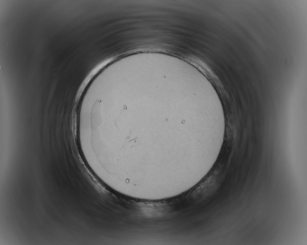 X0000086730804200705041346