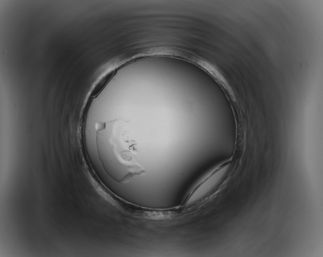 X0000086730805200705041346