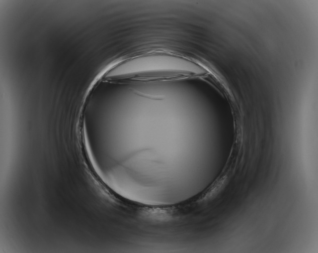 X0000086730806200705041346