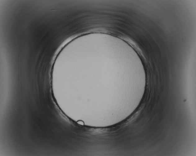 X0000086730808200705041346