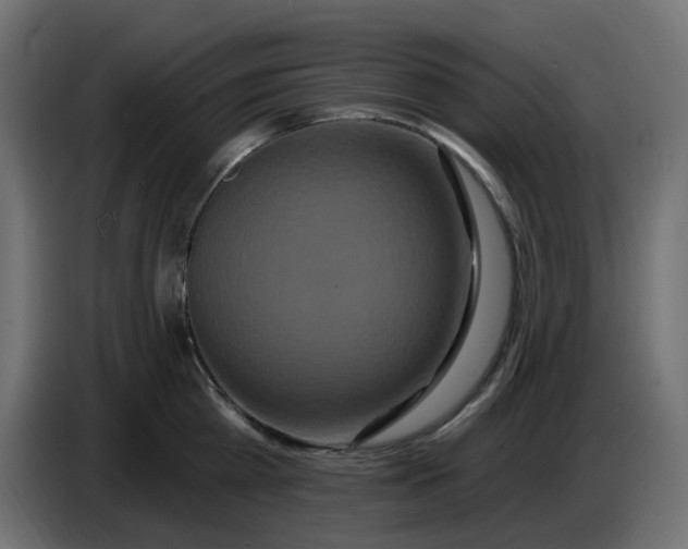 X0000086730809200705041346