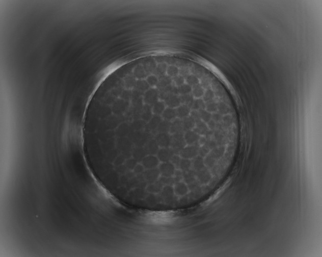 X0000086730810200705041346