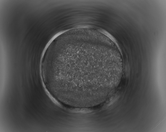 X0000086730811200705041346