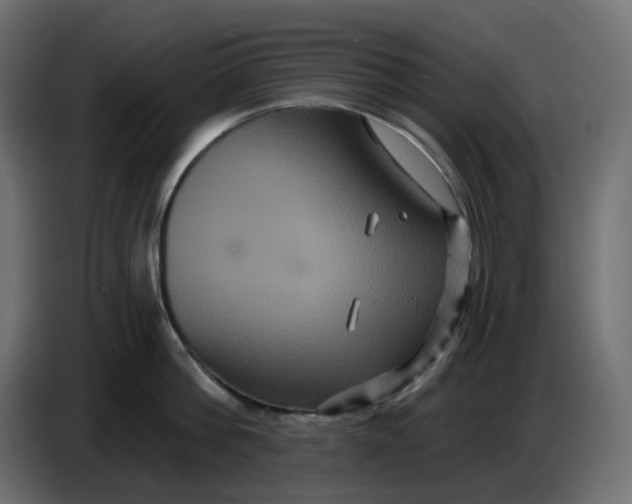 X0000086730812200705041346