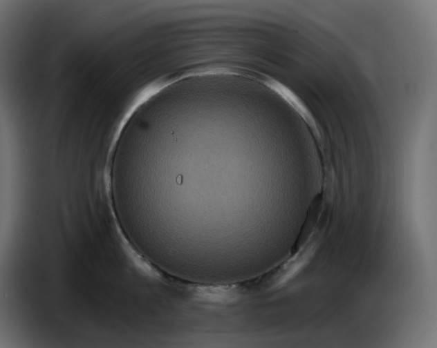 X0000086730813200705041346