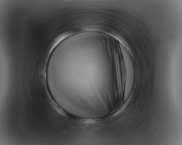 X0000086730814200705041346