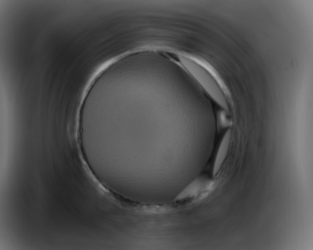 X0000086730815200705041346