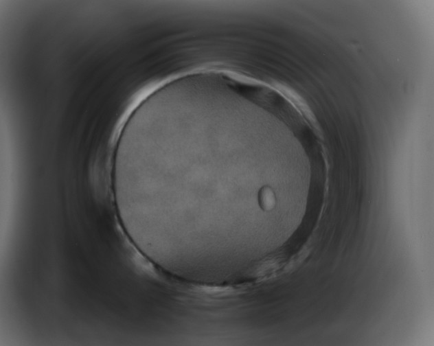 X0000086730816200705041346