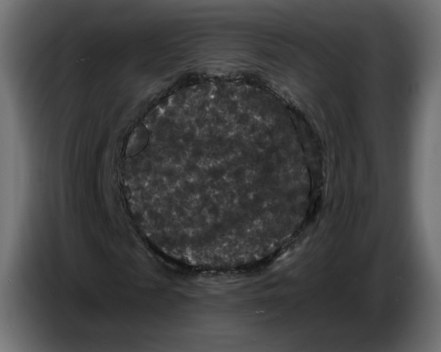 X0000086730817200705041345