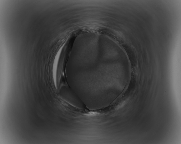 X0000086730818200705041345