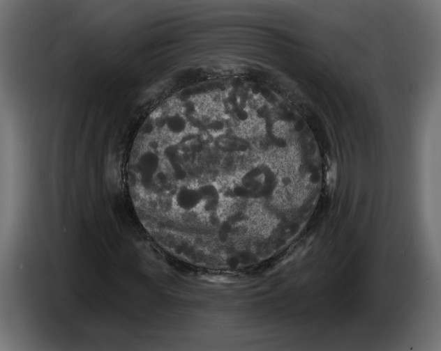 X0000086730819200705041345