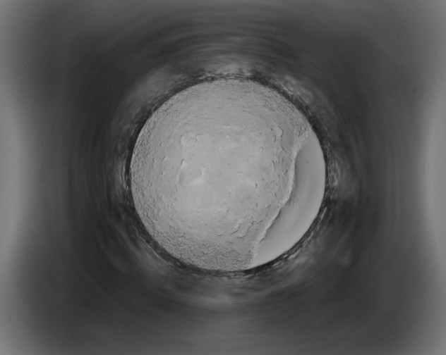 X0000086730820200705041345