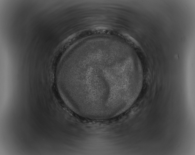 X0000086730821200705041345