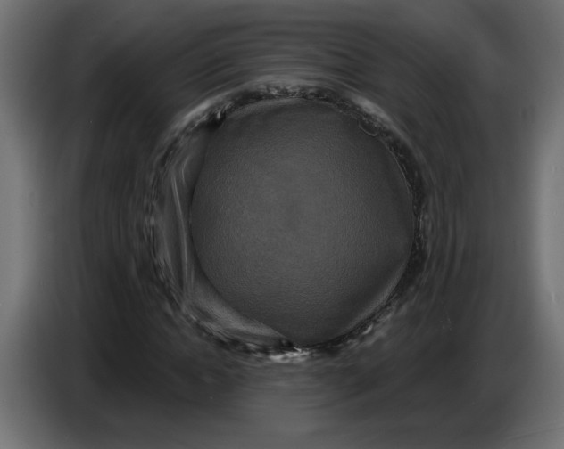 X0000086730822200705041346