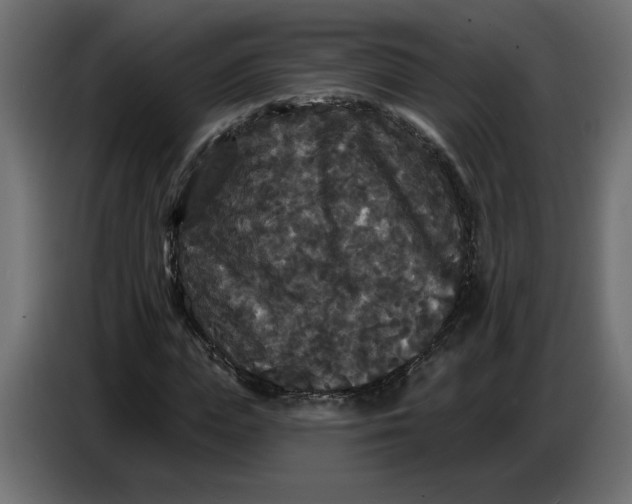 X0000086730823200705041346