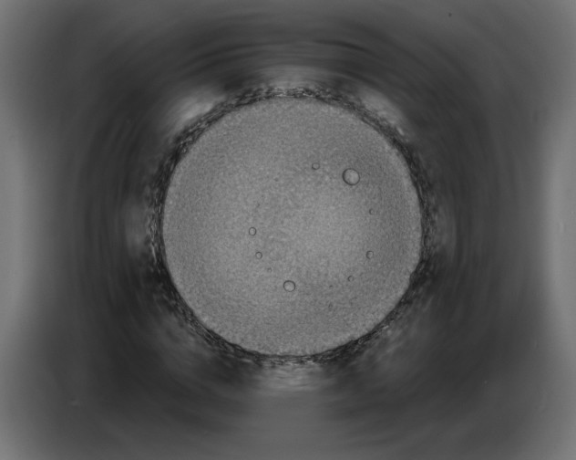 X0000086730824200705041346