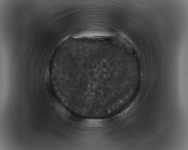 X0000086730825200705041346