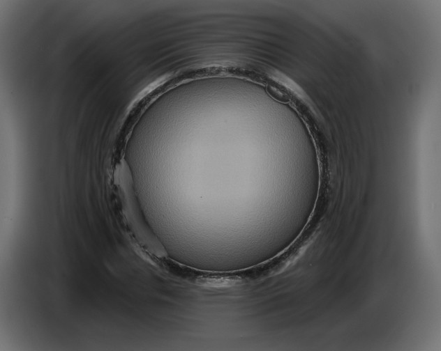 X0000086730826200705041346