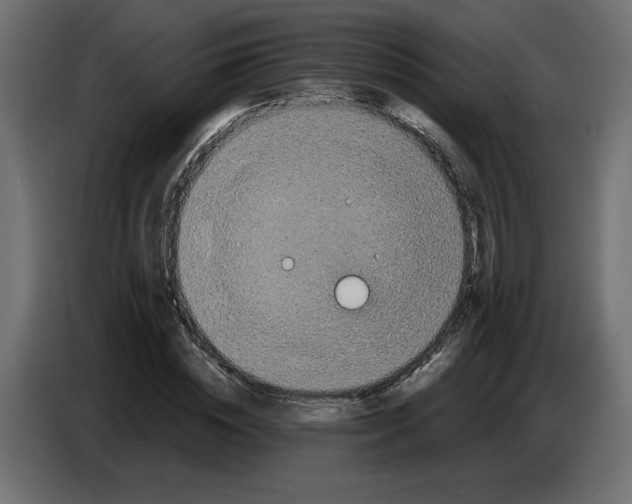 X0000086730828200705041346