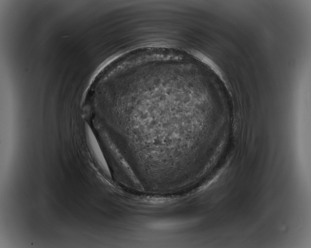 X0000086730829200705041346