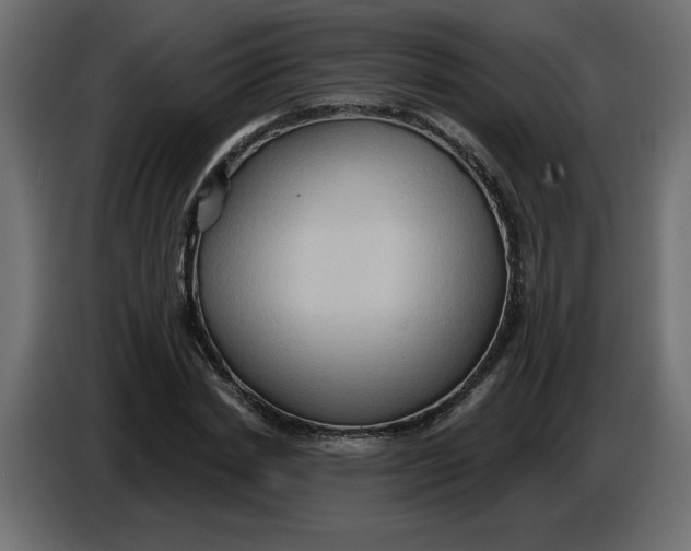 X0000086730830200705041346