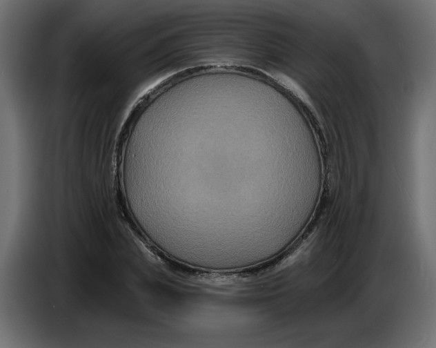 X0000086730831200705041346