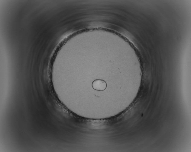 X0000086730832200705041346