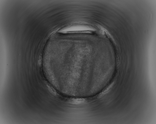 X0000086730833200705041346