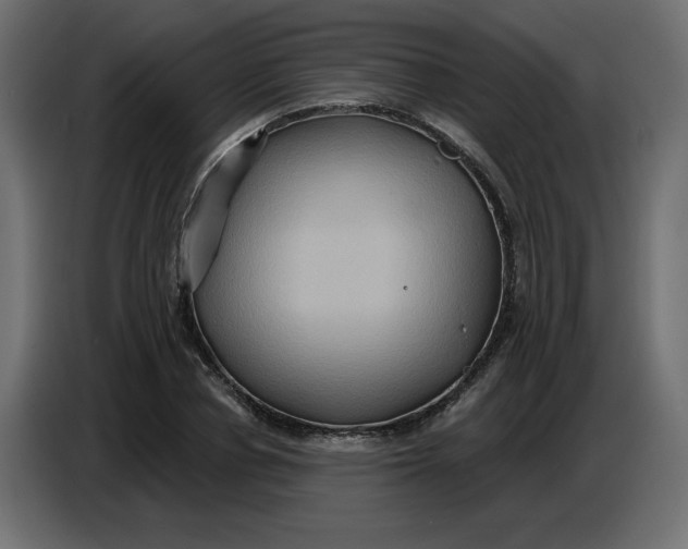 X0000086730834200705041346