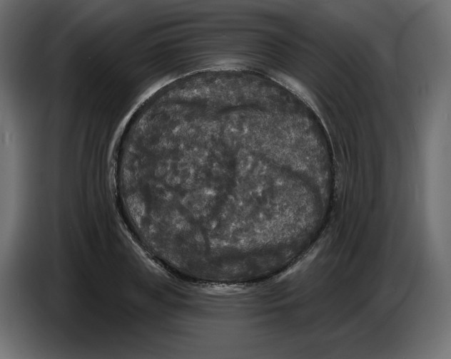 X0000086730835200705041346