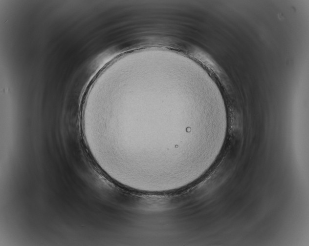 X0000086730836200705041346