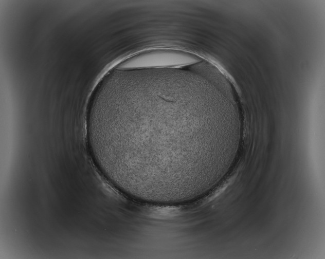 X0000086730837200705041346