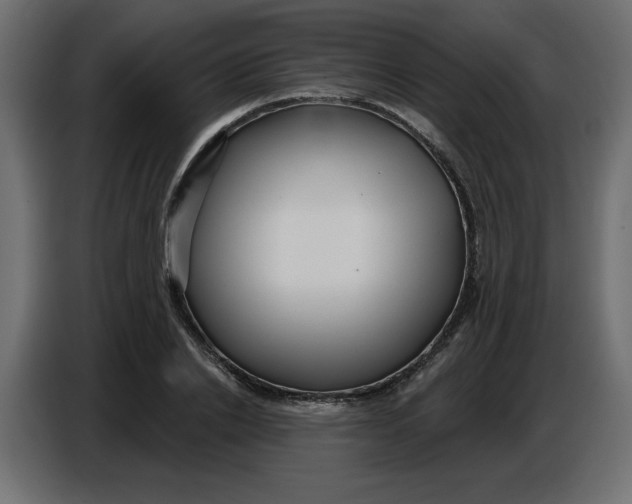 X0000086730838200705041346