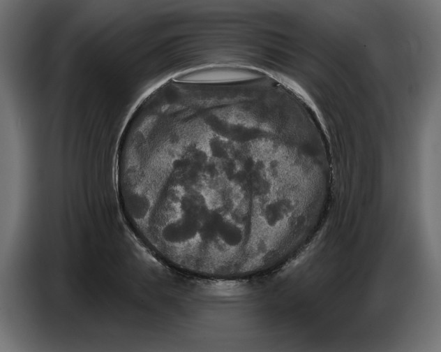 X0000086730839200705041346