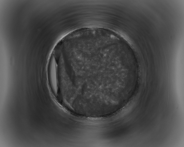 X0000086730840200705041346