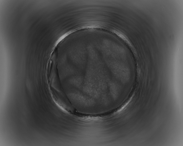 X0000086730842200705041346