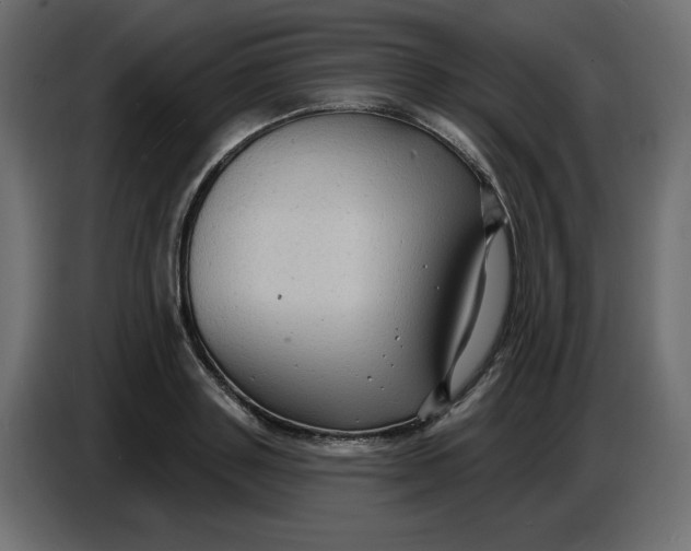 X0000086730843200705041346