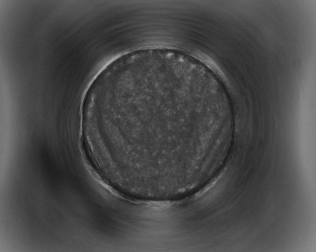 X0000086730844200705041346