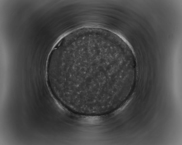 X0000086730845200705041346